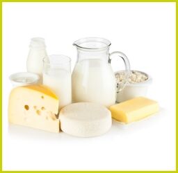 Kanne und Gläser mit Milch, Käse, Butter, Joghurt und Hüttenkäse nebeneinander auf weißem Hintergrund