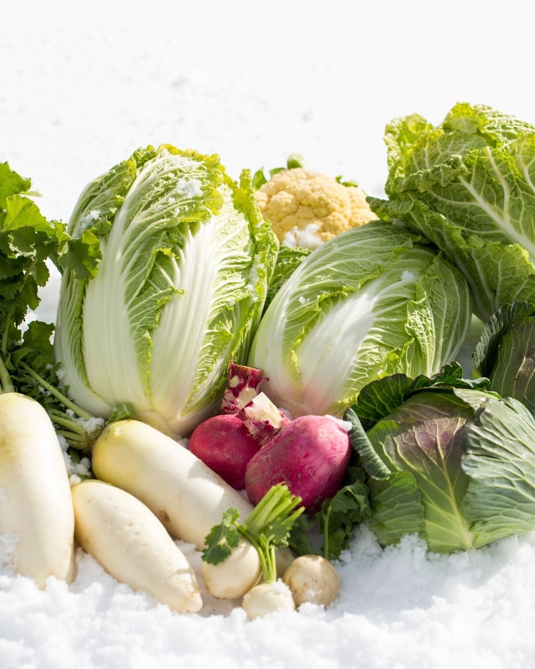 Frischer weißer Spargel und leuchtend rote Erdbeeren dekorativ in einem geflochtenen Korb auf Holzuntergrund