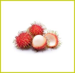 Drei ganze Rambutan-Früchte mit stacheliger roter Schale und eine geöffnete Frucht mit weißem Fruchtfleisch