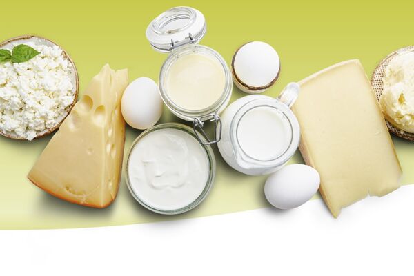 Auswahl an Molkereiprodukten mit Käse, Joghurt, Milch, Eiern, Butter sowie Olivenöl, Datteln und Mandeln auf grünem Hintergrund