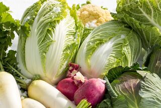 Frischer weißer Spargel und leuchtend rote Erdbeeren dekorativ in einem geflochtenen Korb auf Holzuntergrund