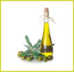 Edles Olivenöl in schlanker Glasflasche mit Naturkorken und frischen grünen Oliven mit Zweig auf weißem Hintergrund