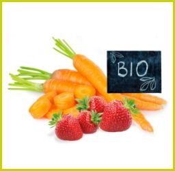 Frische Bio-Karotten und Erdbeeren mit kleiner Tafel „BIO“ auf weißem Hintergrund, Symbol für nachhaltige Frischware