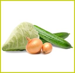 Frischer Spitzkohl, zwei Schlangengurken und Zwiebeln nebeneinander auf weißem Hintergrund – ideal für Rohkost oder Verarbeitung