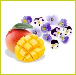 Reife, aufgeschnittene Mango mit violetten essbaren Blüten auf weißem Hintergrund – dekorativ und tropisch-frisch