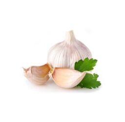 Knoblauch